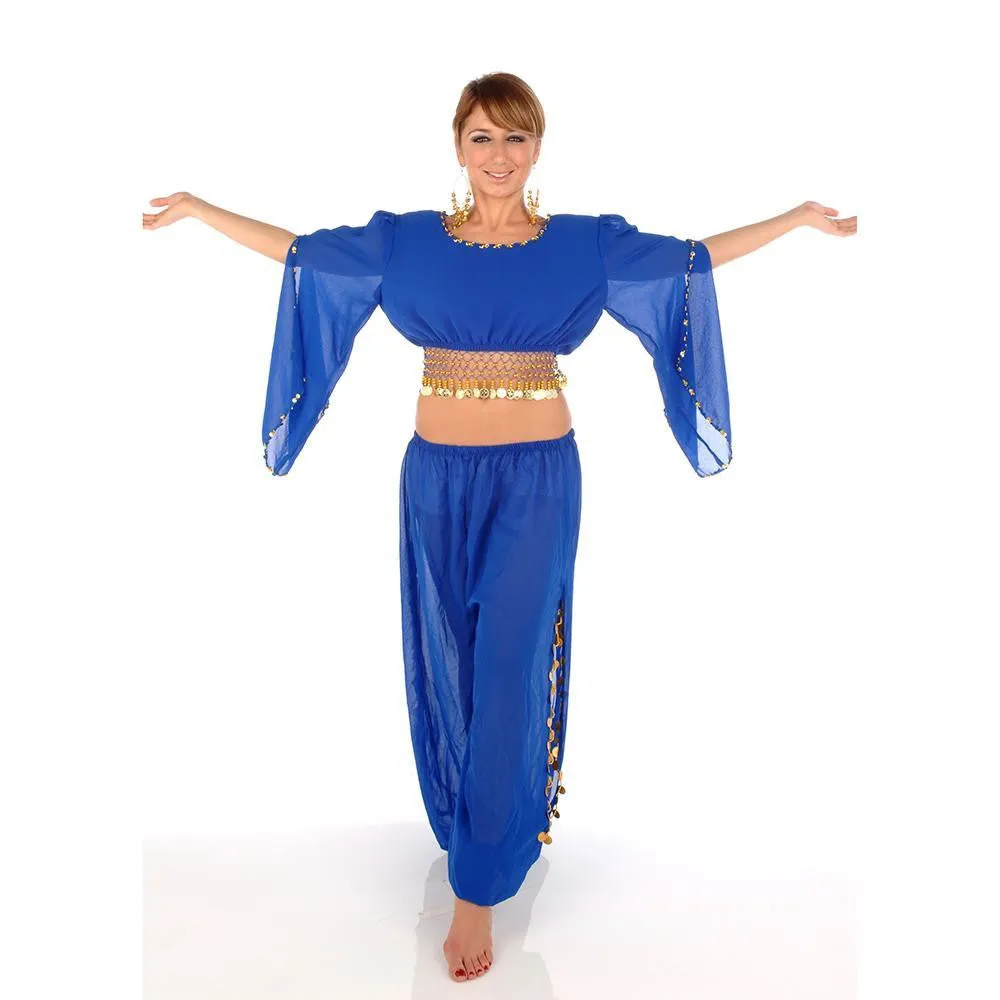 Belly Dance Harem Pant, Hip Scarf, & Bell Sleeve Top Costume Set | SURREAL