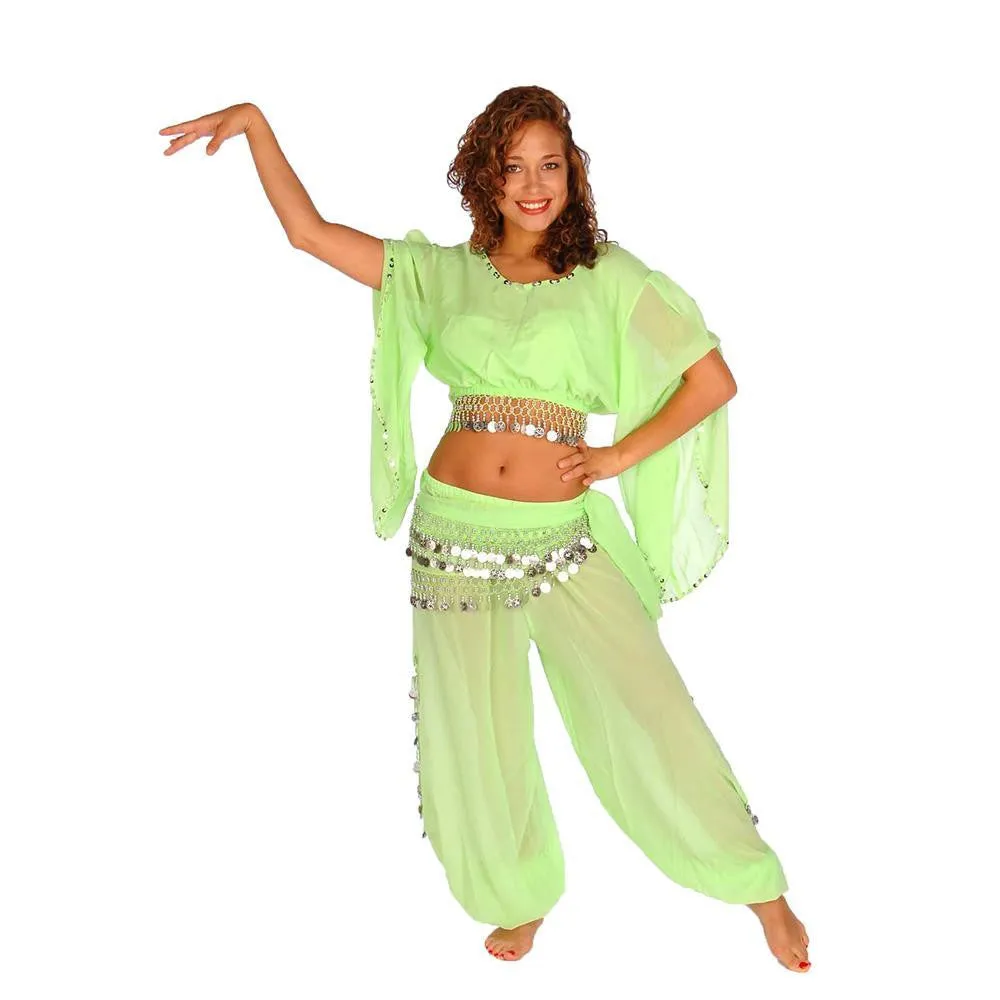 Belly Dance Harem Pant, Hip Scarf, & Bell Sleeve Top Costume Set | SURREAL