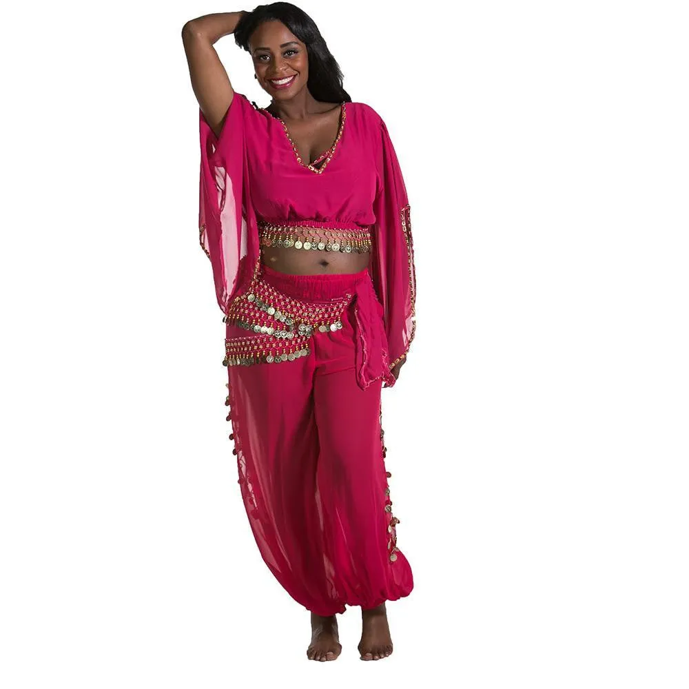 Belly Dance Harem Pant, Hip Scarf, & Bell Sleeve Top Costume Set | SURREAL