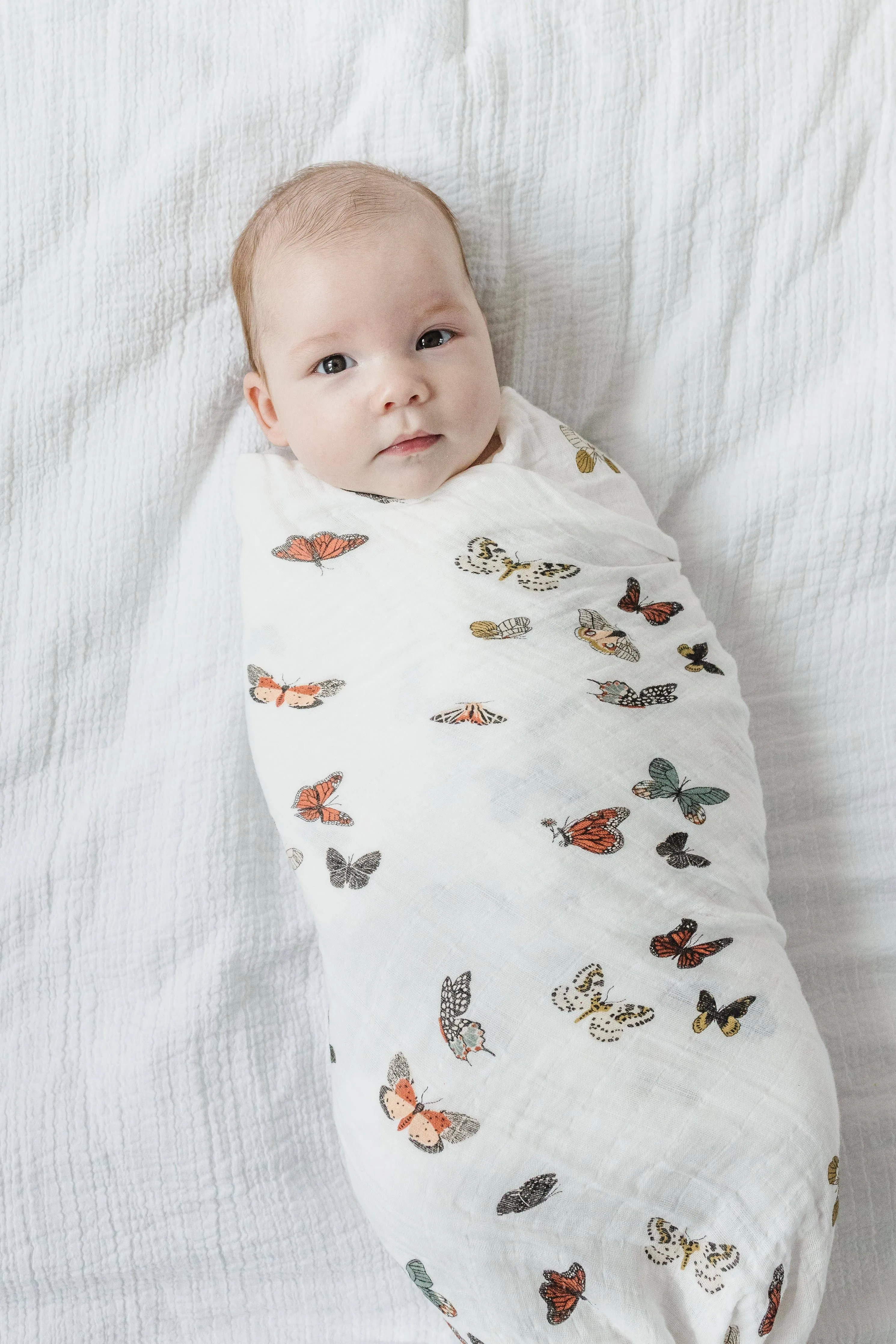 Butterfly Migration Swaddle