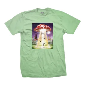 DGK Encounter T-Shirt Mint