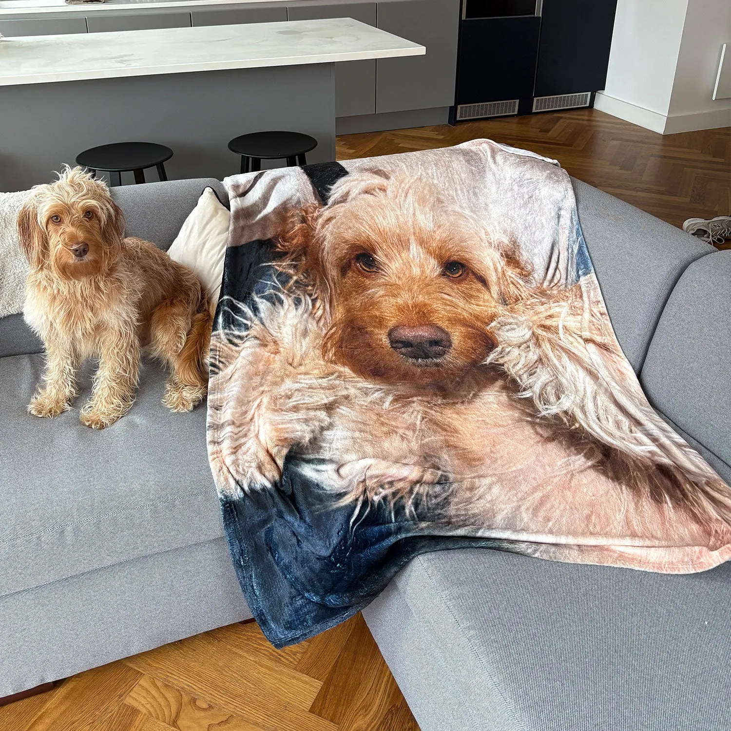 Dog Photo Blanket