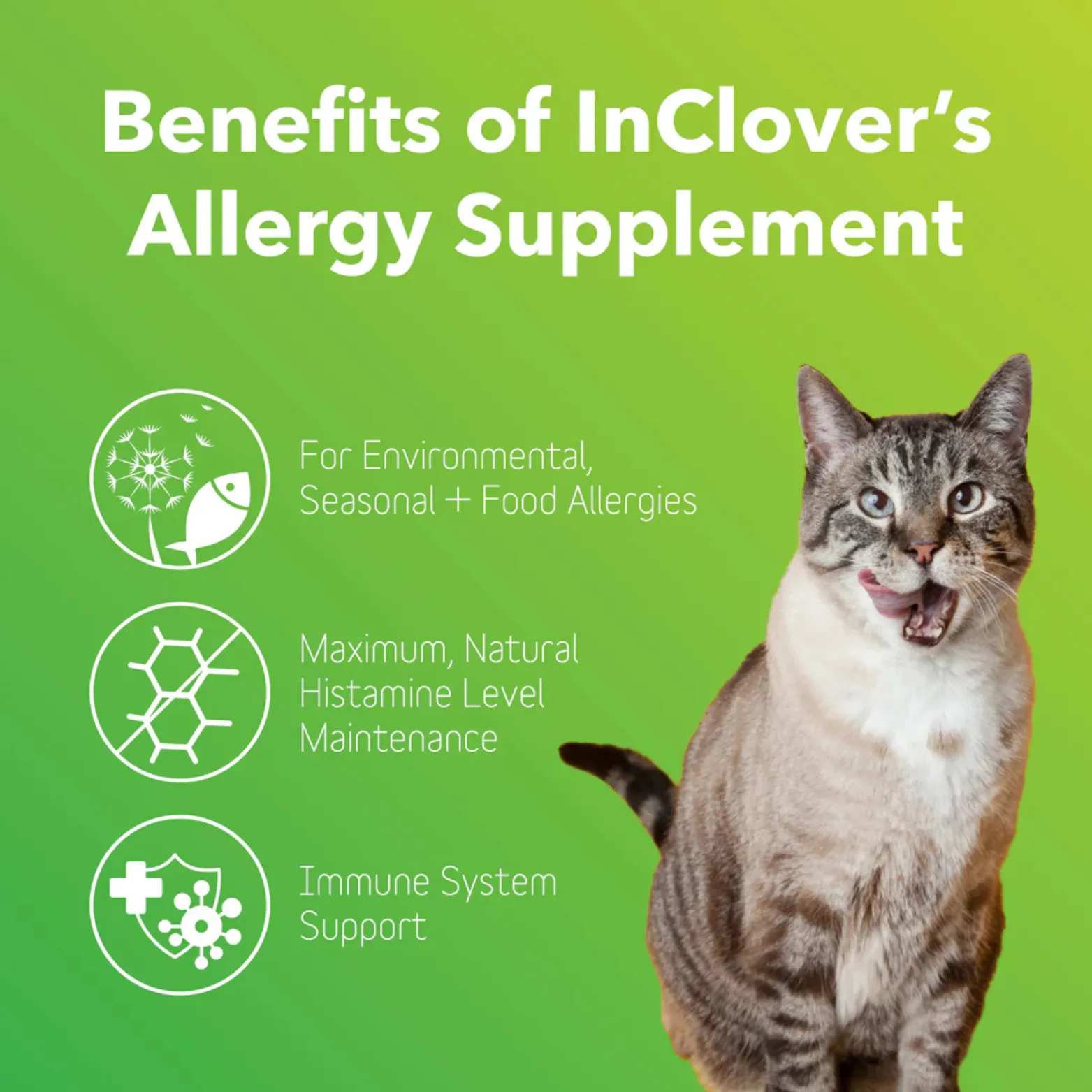 InClover Allergy Supplement for Dogs   Cats (BioResiliant)