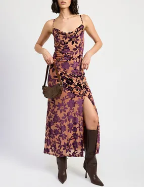 Shyla Velvet Floral Dress